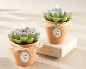 20104GN_Cactus_Candle_m "Desert Rose" Cactus Candles