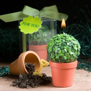9423_med Heart & Shamrock Design Topiary Candle Favors