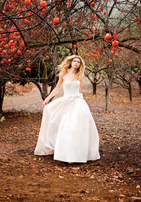 Elegant Fall Wedding Reception: Ideas for Brides on a Budget Elegant Fall Wedding Reception: Ideas for Brides on a Budget