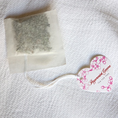 Wedding Favor Ideas for Thrifty Brides Wedding Favor Ideas for Thrifty Brides