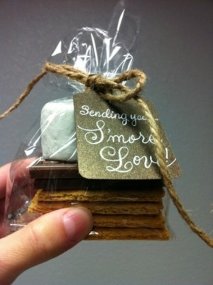 Delicious Fall Wedding Favor Bag and Box Stuffers S'more Wedding Favor