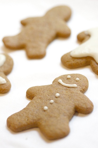 Fun Gifts to Pack in Your Winter Wedding Favor Boxes Gingerbread Cookies