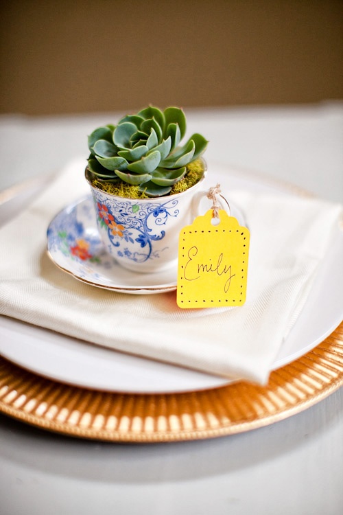 favors Cup cup  Succulents vintage Tea tea