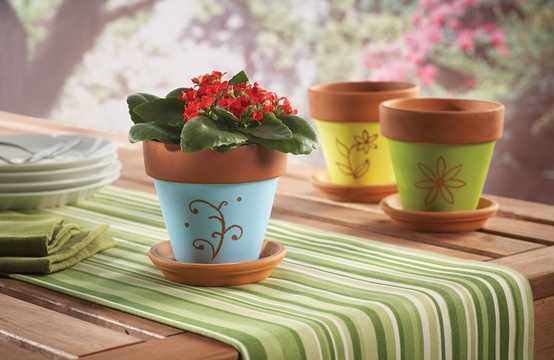 Terracotta Pots