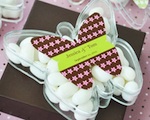Butterfly Acrylic Boxes wedding favors