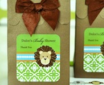 Sweet Shoppe Candy Boxes - Jungle Safari wedding favors