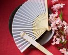 Elegant Silk Fan Favors wedding favors