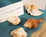 Natural Selections Collection Shell Design Place Card Holders wedding favors