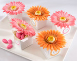 "Daisy Delight" Gerbera Daisy Favor Box wedding favors