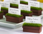 "Evergreen" Window Planter Place Card/Photo Holder (Set of 4) wedding favors
